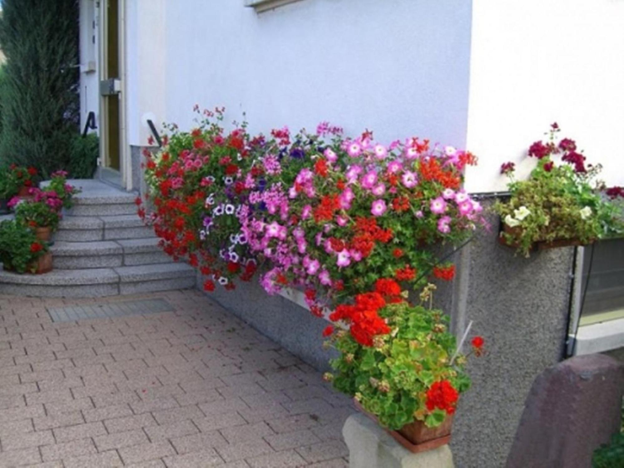 Studio Rouffach Exterior photo